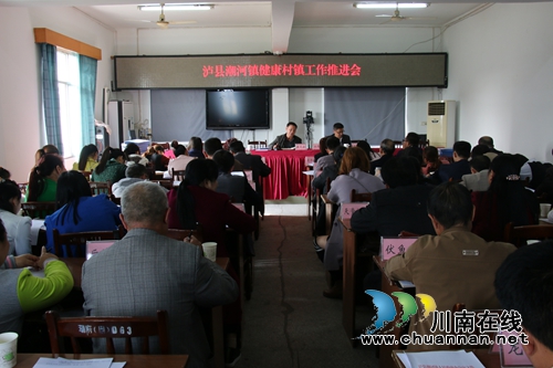 泸县潮河镇召开健康村镇建设工作推进会