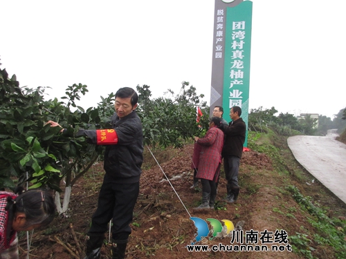 合江：汇聚社会力量&nbsp;吹响脱贫攻坚志愿服务冲锋号