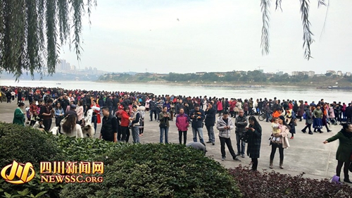 泸州上万市民火爆观鸥 志愿者呼吁正确投喂(图1) 泸州上万市民火爆观鸥 志愿者呼吁正确投喂(图1)