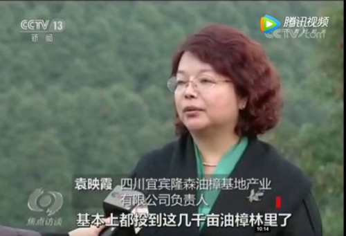 发展绿色金融&nbsp;央视“焦点访谈”聚焦宜宾油樟(图3)