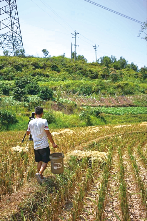 泸州:农民小哥直播乡村生活 新颖模式助力创业之路(图4) 泸州:农民小哥直播乡村生活 新颖模式助力创业之路(图4)