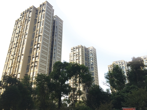 转型升级全力推动&nbsp;城市建设更添活力(图4)