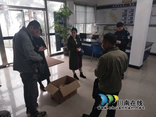 泸县奇峰发现国家保护动物猴面鹰 警民救助(图2) 泸县奇峰发现国家保护动物猴面鹰 警民救助(图2)