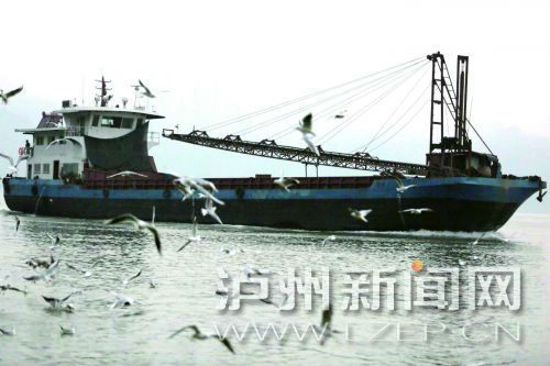 为留住红嘴鸥&nbsp;泸州志愿者到昆明买回专用口粮
