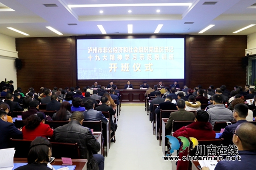 泸州（长江）经济社会组织学院在龙马潭揭牌(图3)