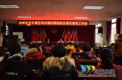 龙马潭特兴镇妇联组织区域化建设工作会(图1)