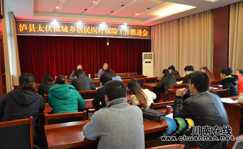 泸县太伏镇召开城乡居民医疗保险工作推进会