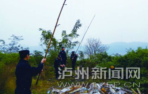 有人用网捕红嘴鸥 泸州志愿者将发起夜间巡查(图1) 有人用网捕红嘴鸥 泸州志愿者将发起夜间巡查(图1)