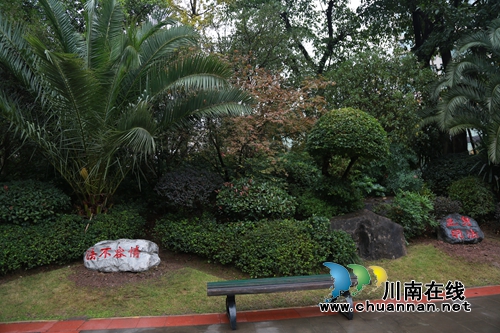 古蔺：打造法治文化主题广场&nbsp;增添普法宣传新亮点(图6)