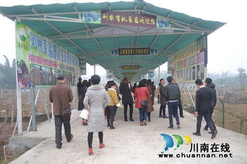 正康集团在泸县开业&nbsp;力争2019年年产值50亿(图2)