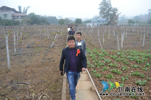 正康集团在泸县开业&nbsp;力争2019年年产值50亿(图5)