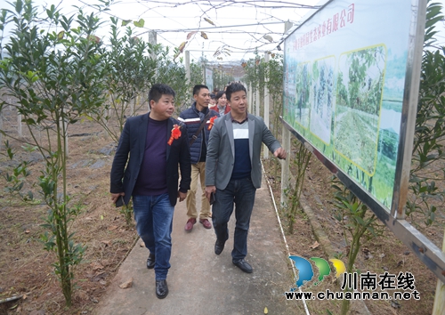 正康集团在泸县开业&nbsp;力争2019年年产值50亿(图7)