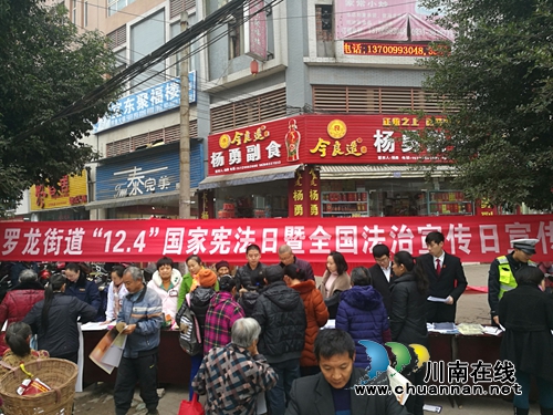 宜宾罗龙司法所扎实开展“12.4”国家宪法日暨全国法治宣传日系列活动