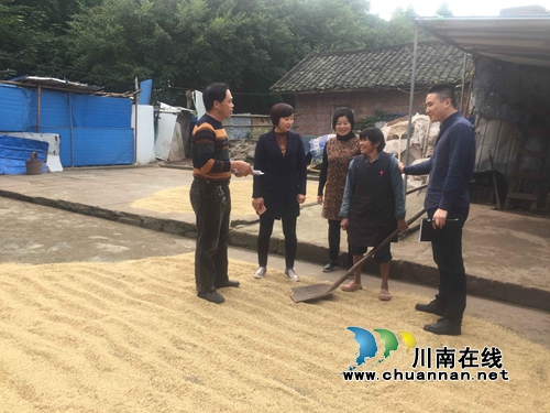 龙马潭石洞街道:田坎干部送来廉洁“清风”(图1) 龙马潭石洞街道:田坎干部送来廉洁“清风”(图1)
