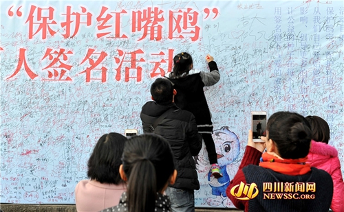 保护红嘴鸥 上万泸州市民签名留下爱的承诺(图1) 保护红嘴鸥 上万泸州市民签名留下爱的承诺(图1)