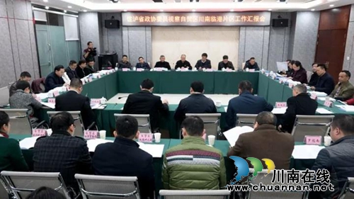 部分住泸省政协委员视察自贸区川南临港片区(图2) 部分住泸省政协委员视察自贸区川南临港片区(图2)