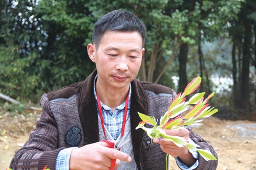 王跃洪：一抹土情绕心间&nbsp;情到农时人自醉(图1)
