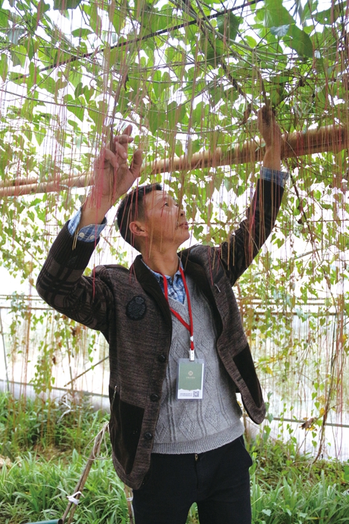 王跃洪：一抹土情绕心间&nbsp;情到农时人自醉