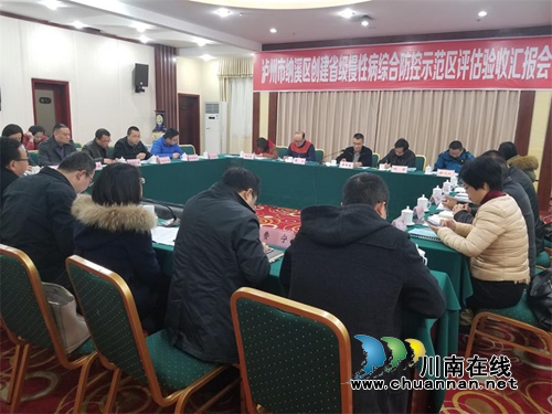 纳溪区通过省慢性病综合防控示范区评估验收(图3)