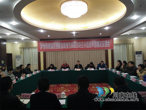 纳溪区通过省慢性病综合防控示范区评估验收(图4)
