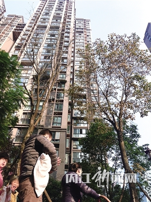 内江一国际社区三次发生高层玻璃窗坠落事件(图2) 内江一国际社区三次发生高层玻璃窗坠落事件(图2)