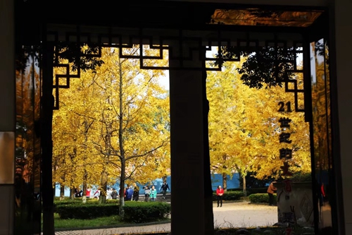 兰玉平:泸县二中草木志(冬)(图2) 兰玉平:泸县二中草木志(冬)(图2)
