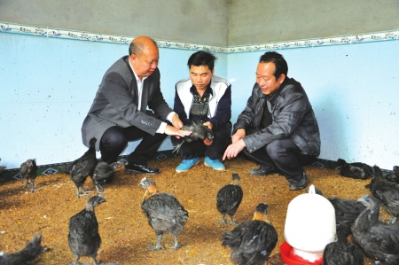 借力互联网&nbsp;泸州残疾“鸡司令”年收入30万