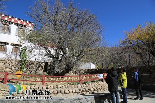 泸州援助&nbsp;乡城藏民吃上“旅游饭”(图5)