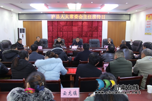 泸县人大常委会在云龙镇开展第四季度主任接待日活动