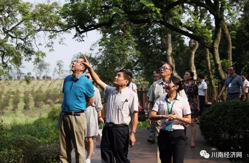 叶辛：唱一支泸州的歌(图6)