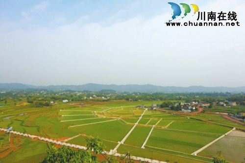 全国“深化农村土地改革”研讨会在泸县召