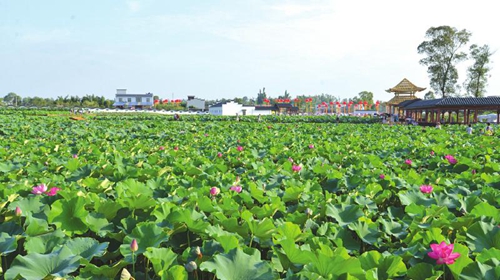全国“深化农村土地改革”研讨会在泸县召(图3)