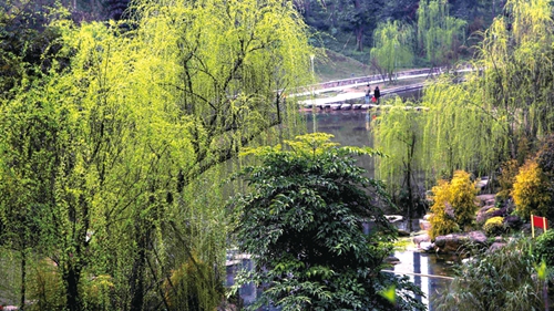严守生态高颜值 美丽酒城皆风景(图5) 严守生态高颜值 美丽酒城皆风景(图5)