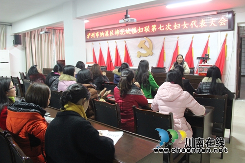 纳溪区棉花坡镇第七次妇女代表大会顺利召开