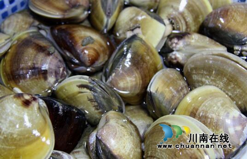 “海”量享受“鲜”动全城&nbsp;到泸州盛昌品美味(图23)