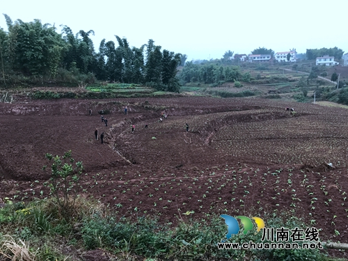 宜宾南溪区长兴镇加快推进乡村旅游发展(图1)