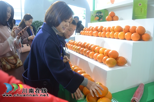 中国（泸州）第二届农产品交易博览会开幕(图22)
