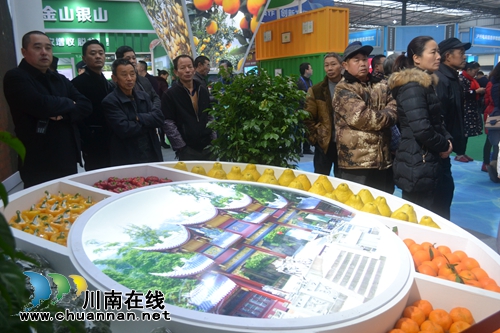 中国（泸州）第二届农产品交易博览会开幕(图24)
