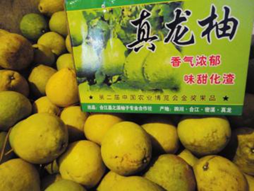 中国（泸州）第二届农产品交易博览会开幕(图32)