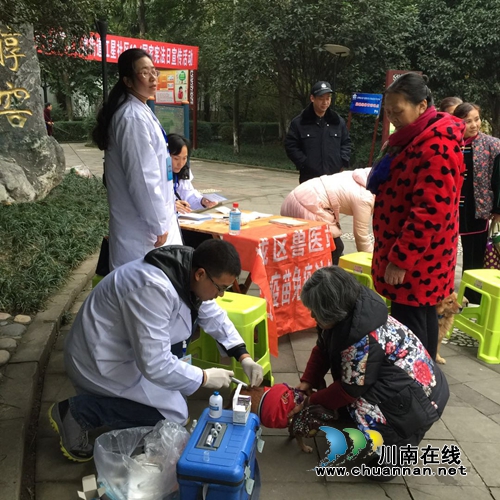 龙马潭区城区畜牧兽医站开展狂犬病防治工作(图2) 龙马潭区城区畜牧兽医站开展狂犬病防治工作(图2)