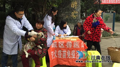 龙马潭区城区畜牧兽医站开展狂犬病防治工作