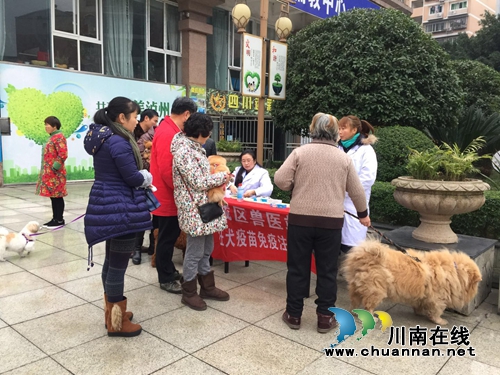 龙马潭区城区畜牧兽医站开展狂犬病防治工作(图3) 龙马潭区城区畜牧兽医站开展狂犬病防治工作(图3)
