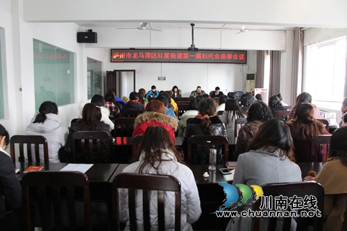 龙马潭红星街道圆满完成第一届妇代会选举会