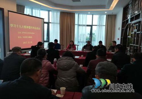 泸州市文艺评论家协会召开学习十九大精神暨年终总结会(图1)