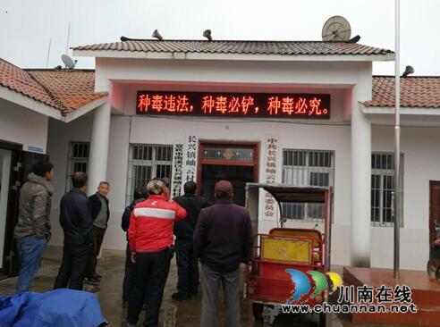 宜宾长兴镇组织开展毒品原植物踏查行动