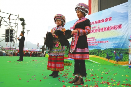 四川宜宾兴文第二届乌鸡美食文化节启幕(图1)