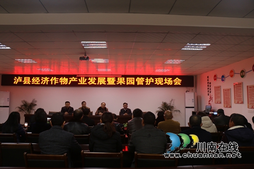 泸县农林局召开经济作物产业发展暨果园管护现场会