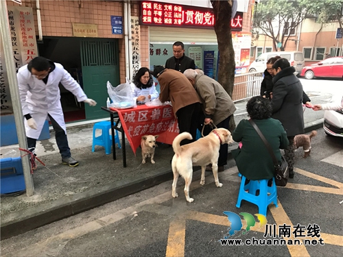 莲花池街道五八社区开展犬只预防注射狂犬疫苗工作