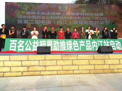 绿色公益明星汇聚 内江草莓葡萄开采节启幕(图1) 绿色公益明星汇聚 内江草莓葡萄开采节启幕(图1)