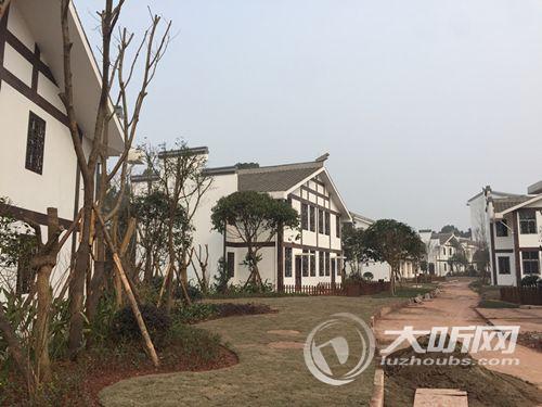 泸州首个农村综合体项目预计明年1月底投用(图3) 泸州首个农村综合体项目预计明年1月底投用(图3)